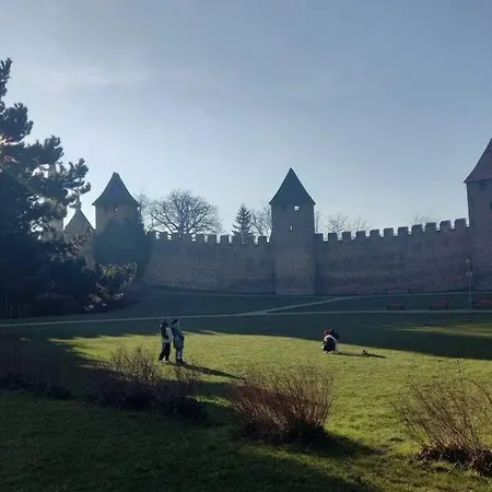 Soukromý Přemysl Apartamento