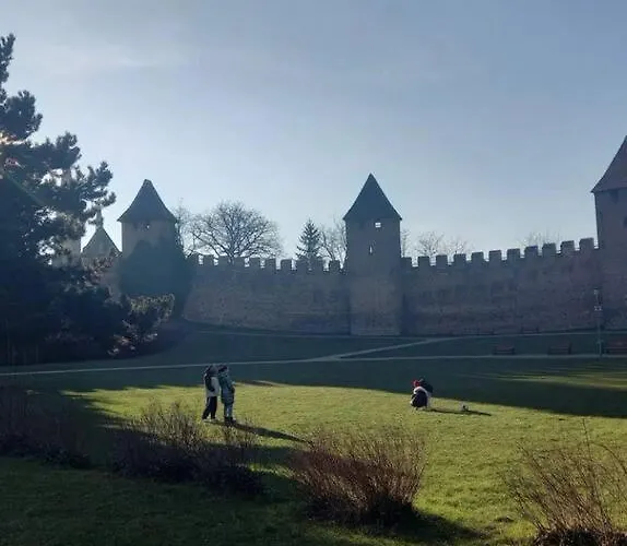 Soukromý Přemysl Appartamento